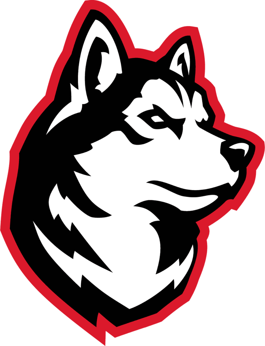 Northeastern Club Esports